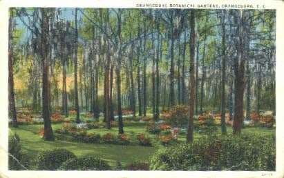 Пощенска картичка от Оранжбурга, Южна Каролина